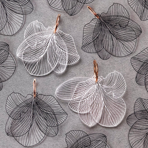 Fern Series